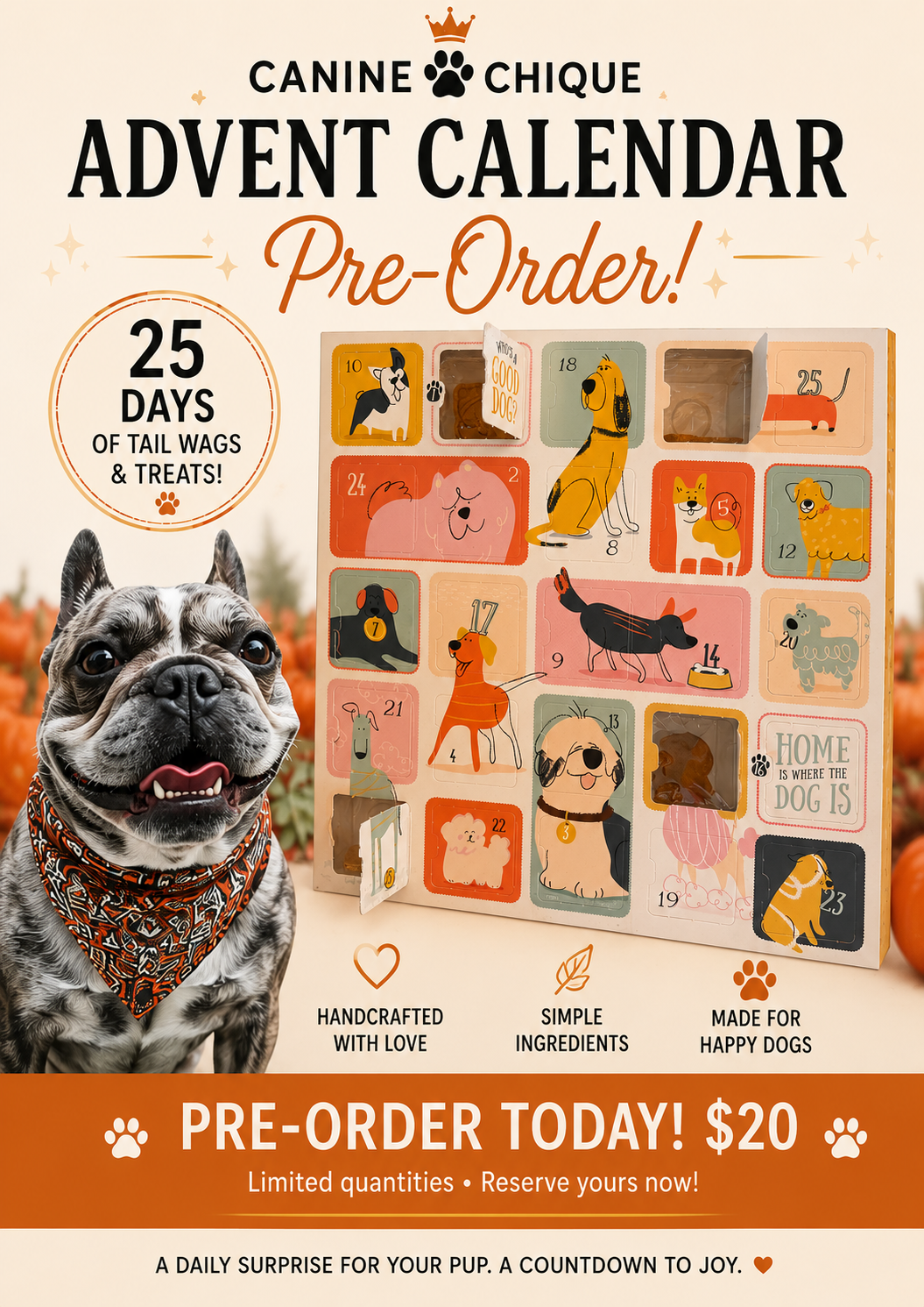 Canine Chique 25-Day Dog Advent Calendar – 2026
$20 | Pre-Order