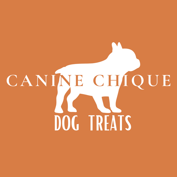 Canine Chique